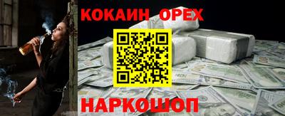 гидра Ярцево
