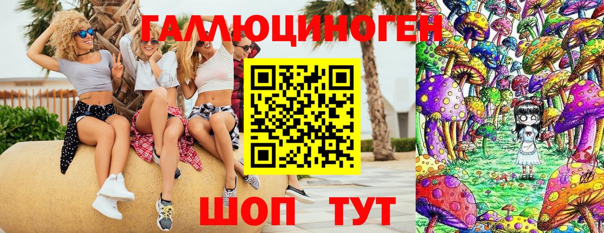 Белгород  Псилоцибиновые грибы Psilocybine cubensis  Вход с VPN 