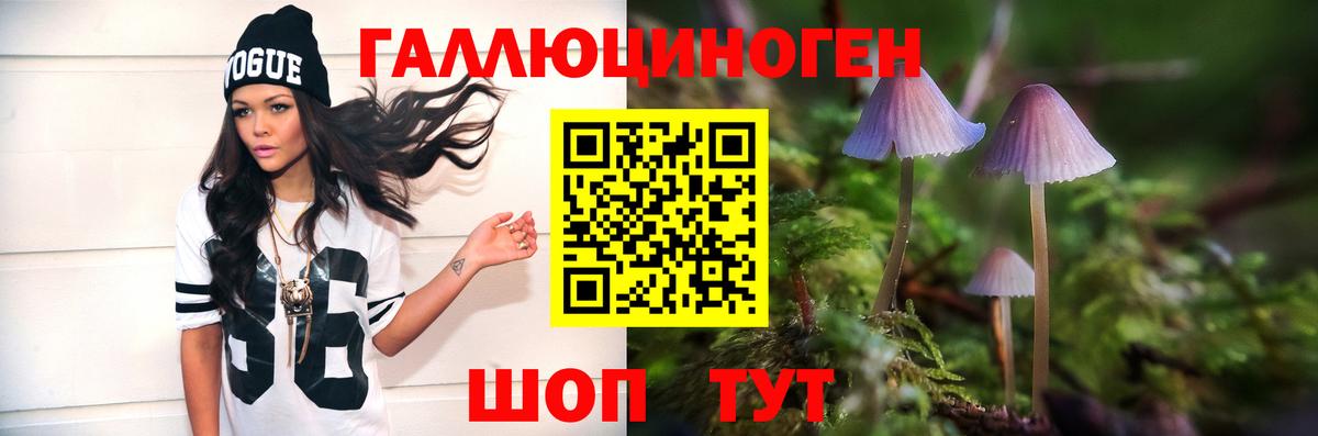 Псилоцибиновые грибы прущие грибы Белгород